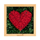 Evergreen Love Frame | Real Roses That Last a Year
