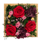 Flora Décor Box  Preserved Roses